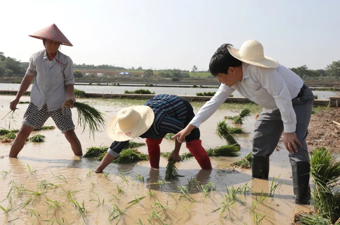 圖片5.png 圖片5.png