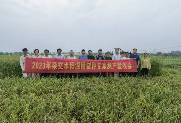 圖片1.png 圖片1.png